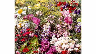 Unbranded Flowering Mixture Seeds - Fragrant Mix