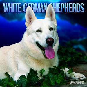 German Shepherd - White 2006 calendar