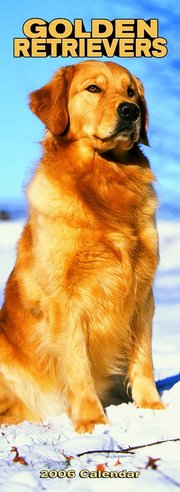 Golden Retriever - SLIM 2006 calendar