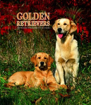 Golden Retriever Weekly Engagement 2006 calendar