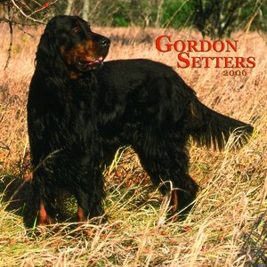 Gordon Setter 2006 calendar