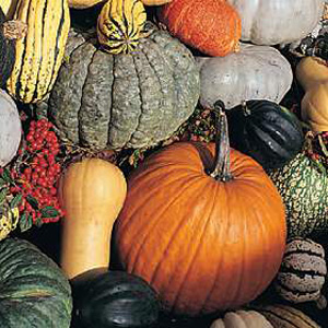 Unbranded Gourd Jim Jams Seeds