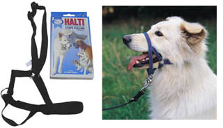 Halti Collar Plain