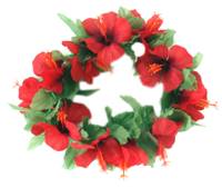 Pluck the blossoms from the jungle and slip them into your hair as you stroll to the beach. Much