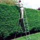 Unbranded Hedgemaster 3ft Extender