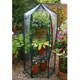 Unbranded Hexagonal Greenhouse