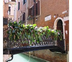 Escape the crowds of tourists and discover the real Venice on this charming tour of the rarely visited San Polo District. Explore colourful and lively markets of the Rialto, learn about the Hunchback of San Giacomo Church and visit the old red-light 