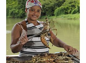 Come and discover Hispaniola Island and learn all about the Dominicans and their culture.