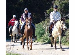 Discover the stunning Turkish countryside with a trip Horse Riding through the Bodrum Peninsula. You will enjoy wonderful views of the Bodrum region,