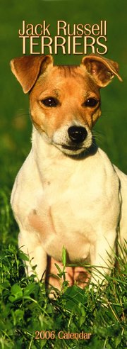 Jack Russell - SLIM 2006 calendar