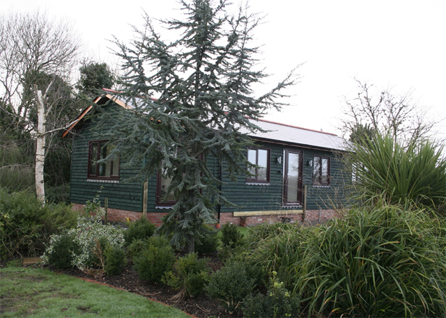 Unbranded Jonswood