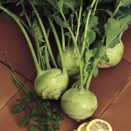 Unbranded Kohl Rabi Purple and White Mix Seeds Average