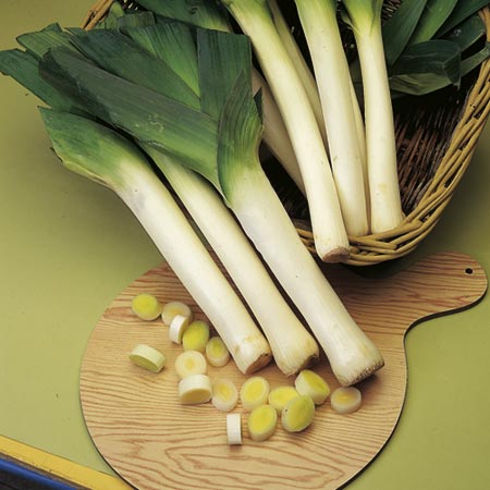 Unbranded Leek Musselburgh Plants Pack of 46 Plug Plants