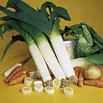 Unbranded Leek Twin Pack Plug Plants 400431.htm