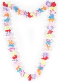 Leis are used to mark special occasions in Hawaii.    These Hula Rainbow leis are an inexpensive