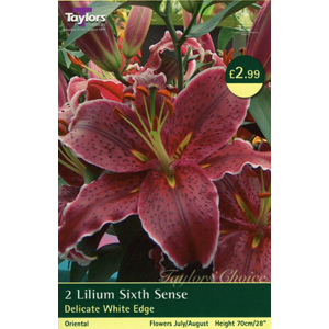 Unbranded Lily Sixth Sense Bulbs