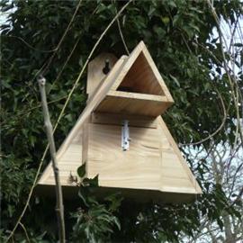 Unbranded Little Owl Box