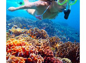 Sail to the beautiful Santa Maria, Cabos premier snorkelling area, and explore the clear, azure waters which are teeming with colourful tropical fish.