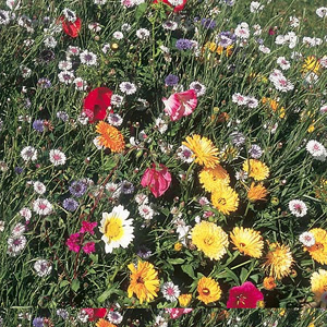 Unbranded Mixed Flowers Tall Varieties Seeds