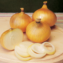 Unbranded Onion Sets - F1 Centurion