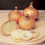 Unbranded Onion Sets F1 Centurion (400g)