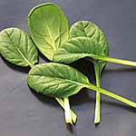 Unbranded Pak Choi Tatsoi Supi Seeds 439776.htm