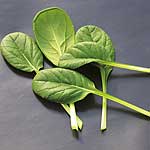 Unbranded Pak Choi Tatsoi Supi Seeds