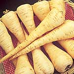 Unbranded Parsnip Cobham Improved Marrow Seeds - Triplepack