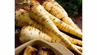 Unbranded Parsnip Seeds - Picador F1