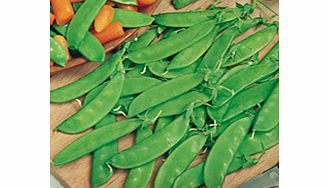 Unbranded Pea Oregon Sugar Pod Seeds