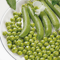 Unbranded Pea Seeds - Exzellenz