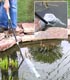 Unbranded Pond Vacuum Kit