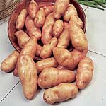 Unbranded Potato Pink Fir Apple - 3 kg