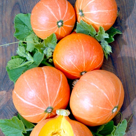 Unbranded Pumpkin Justynka 18 Seeds