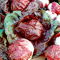 Unbranded Radicchio Seeds - Palla Rossa Red Devil