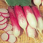 Unbranded Radish French Breakfast 3 Seeds - Triplepack