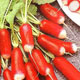 Unbranded Radish French Breakfast Seeds