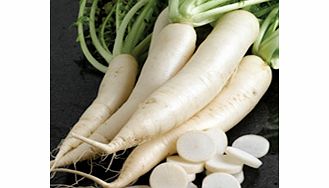 Unbranded Radish Mino Summer Cross F1 Seeds