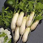 Unbranded Radish White Breakfast Seeds 438436.htm