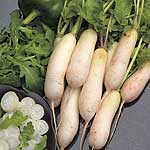 Unbranded Radish White Breakfast Seeds