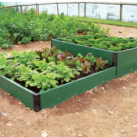 Unbranded Raised Bed Veg Kit Pack of 69 Plug Plants (as