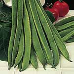 Unbranded Runner Bean Mergoles Plants 400081.htm