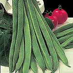 Unbranded Runner Bean Mergoles Seeds