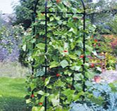 Unbranded Runner Bean Tower