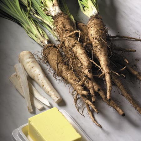 Unbranded Salsify Seeds Average Seeds 130