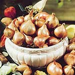 Unbranded Shallot Bulbs  Springfield