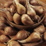 Unbranded Shallot Griselle