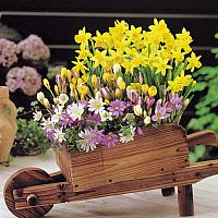 Spring Wheelbarrow Collection