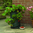 Unbranded Strawberry Planter