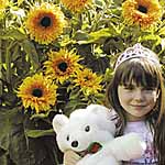 Unbranded Sunflower Baby Bear Seeds 417522.htm